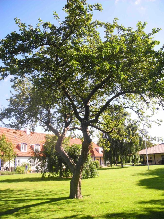 Inspiration Center Denmark, Bed & Breakfast Maribo Luaran gambar