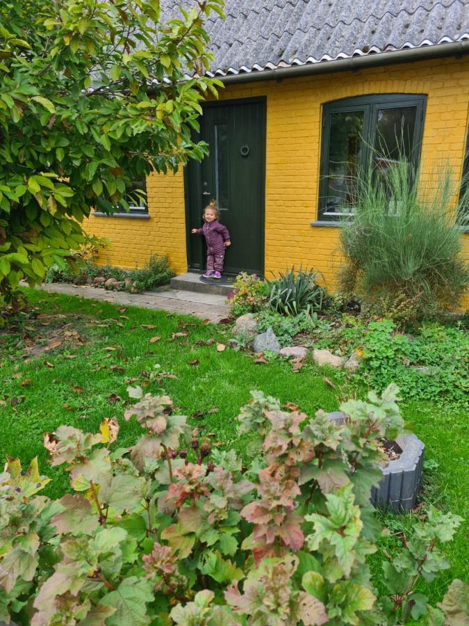 Inspiration Center Denmark, Bed & Breakfast Maribo Luaran gambar